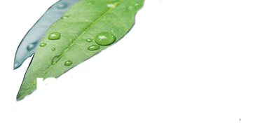movemus – Wir bewegen Menschen.